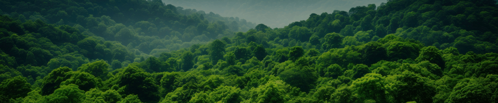 Environmental, Social, and Governance